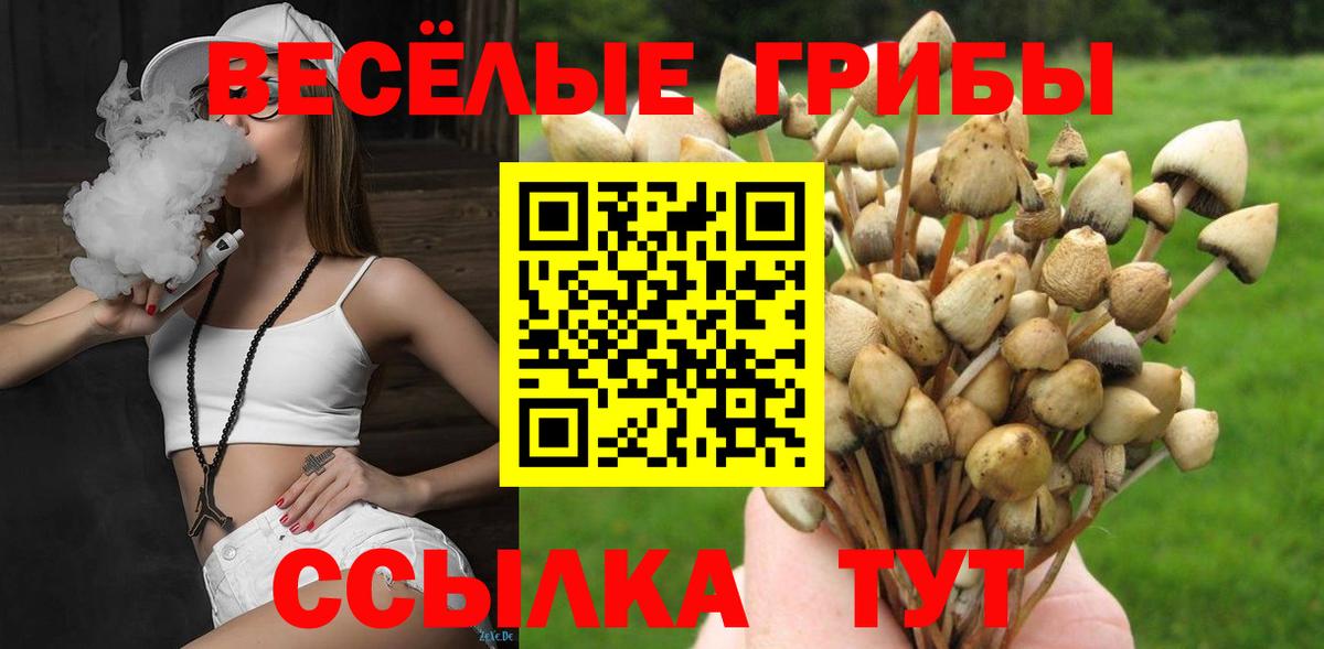 Галлюциногенные грибы Psilocybe Переславль-Залесский