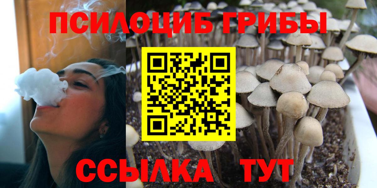 Переславль-Залесский  Галлюциногенные грибы Psilocybe  Вход с VPN 